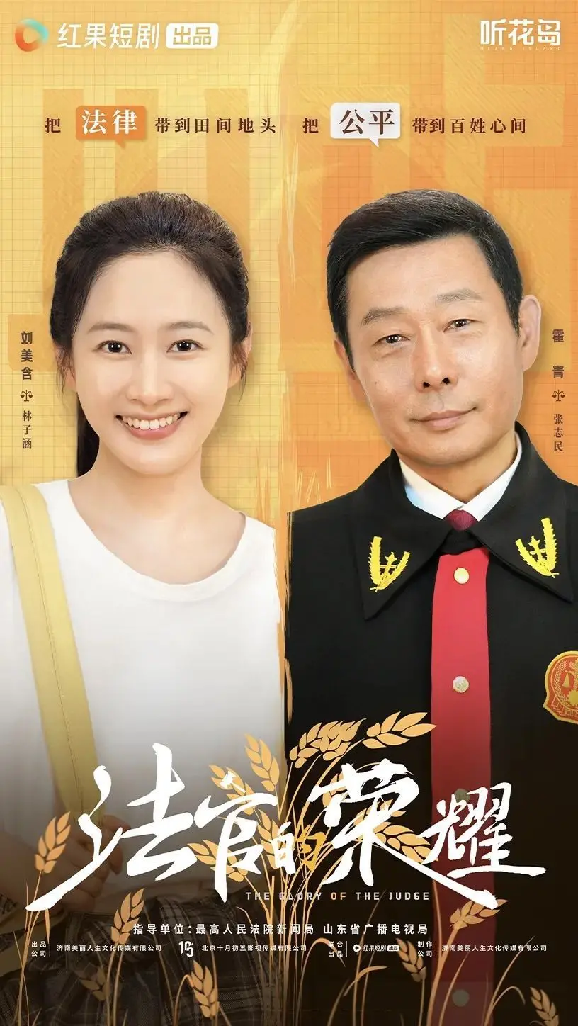 《法官的荣耀》：正义的代价是什么？深度剖析法律与道德的灰色地带