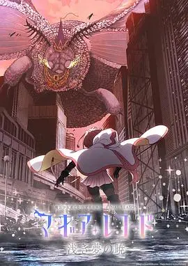 魔法少女的奇幻新篇：魔法纪录魔法少女小圆外传的冒险与情感纠葛